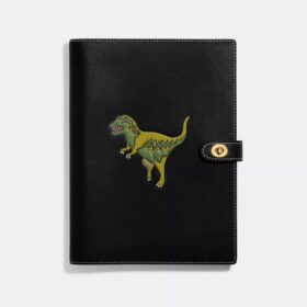 Caiet cu Rexy