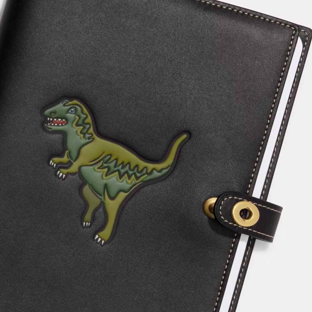 Caiet cu Rexy