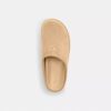 Clog sport