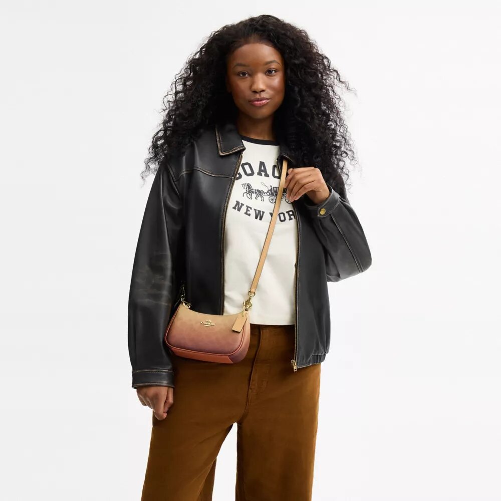 Geantă mini crossbody Teri din pânză Ombre Signature Canvas