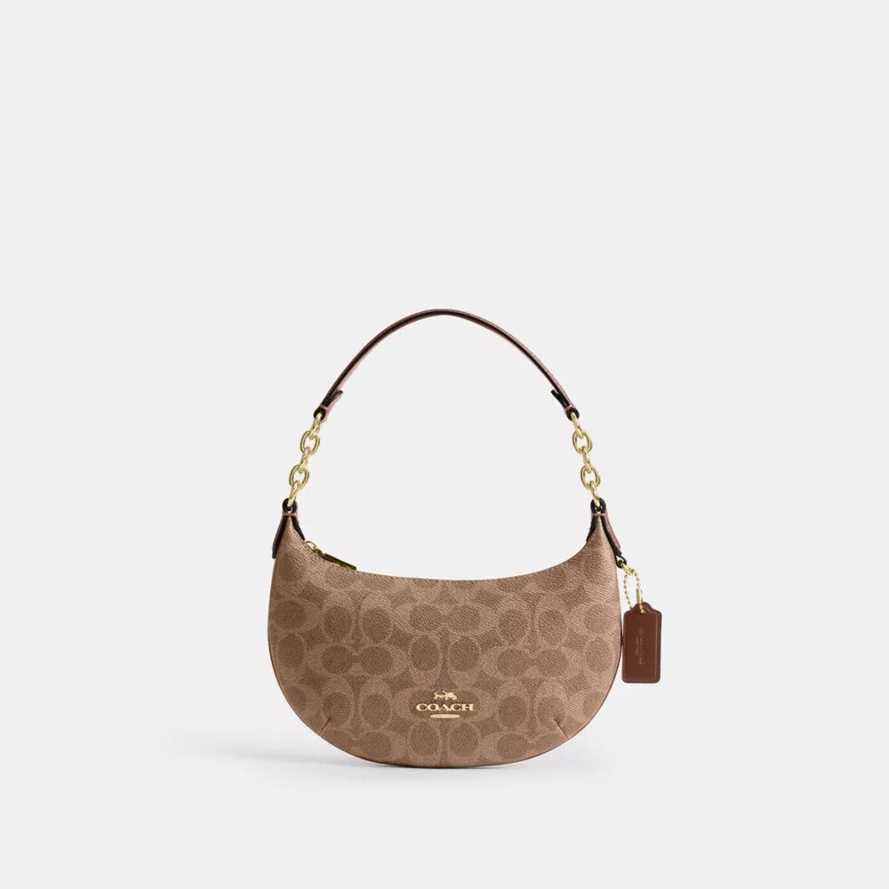 Geantă Mini Payton din Signature Canvas