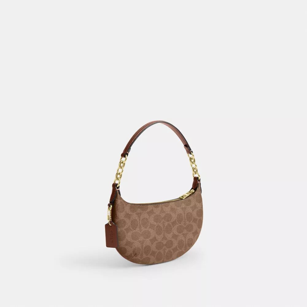 Geantă Mini Payton din Signature Canvas