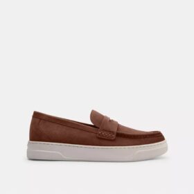 Mocasini hibrizi