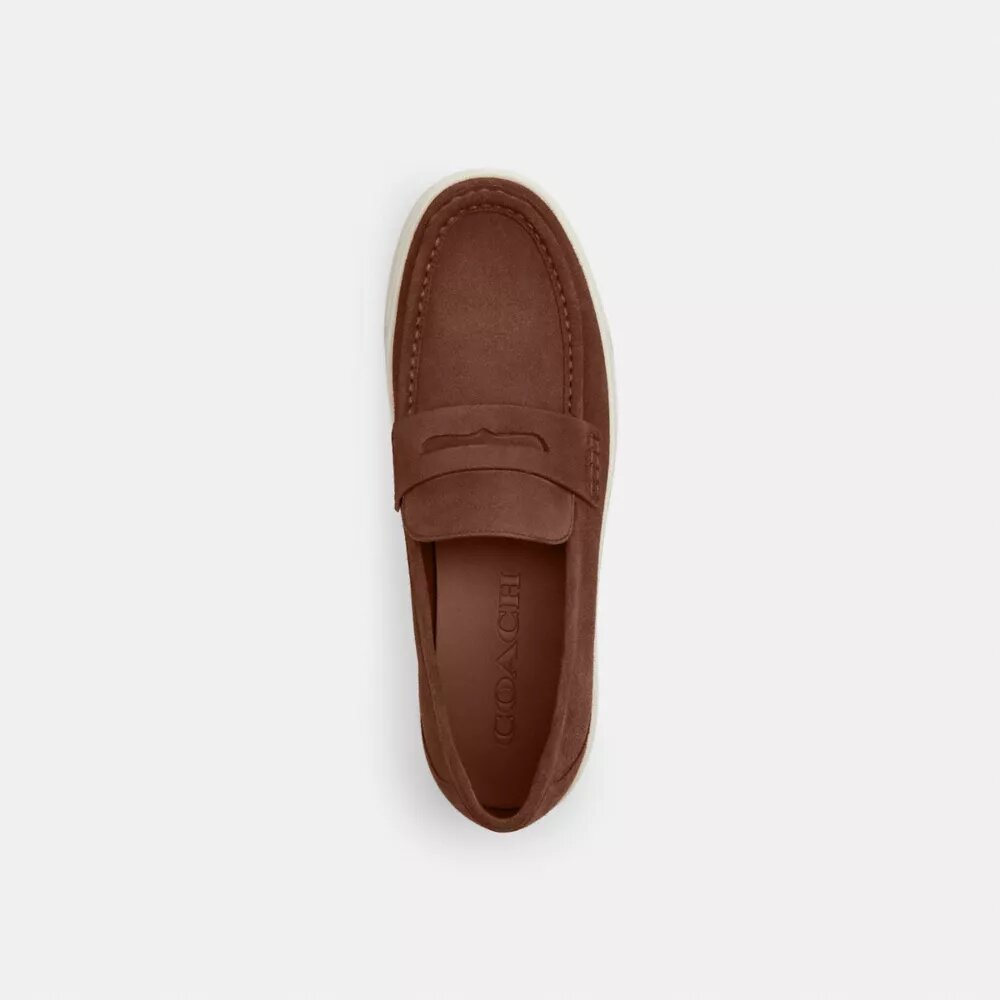 Mocasini hibrizi