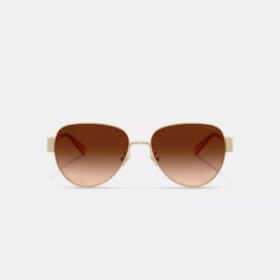 Ochelari de soare metalici de pilot cu accesorii aurii