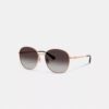 Ochelari de soare rotunzi din metal cu accesorii C