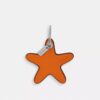 Pandantive pentru genți „Star”