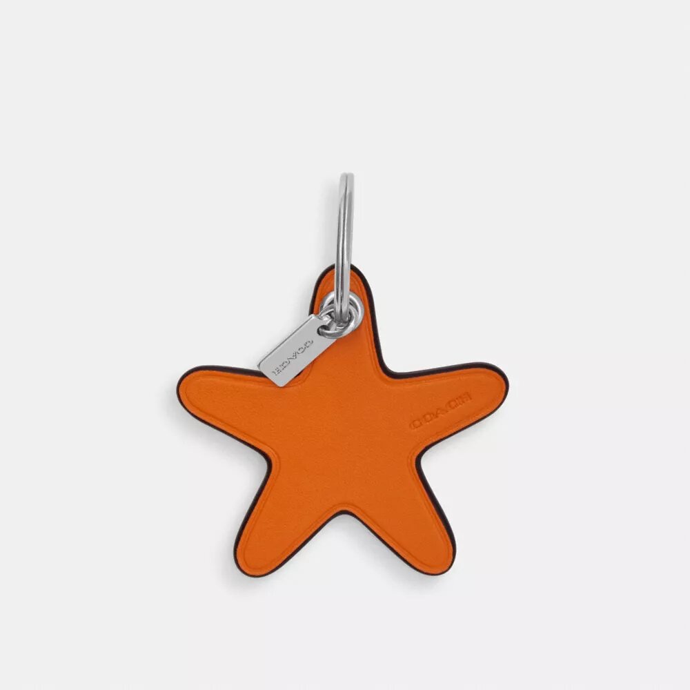 Pandantive pentru genți „Star”