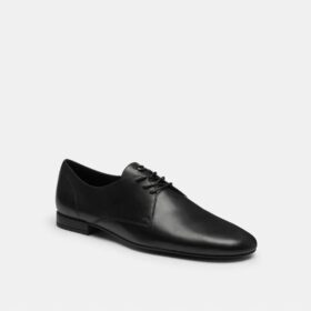 Pantofi Derby moi