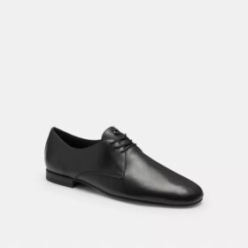 Pantofi Derby moi