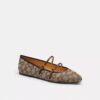 Pantofi Mary Jane cu două catarame din jacquard caracteristic