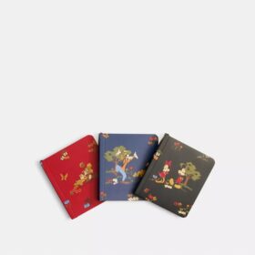 Set de agende mini Disney X Coach cu Mickey Mouse și prietenii săi