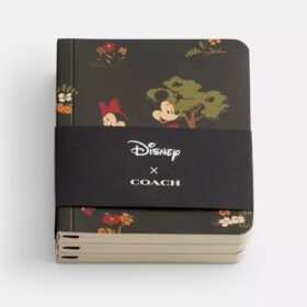 Set de agende mini Disney X Coach cu Mickey Mouse și prietenii săi