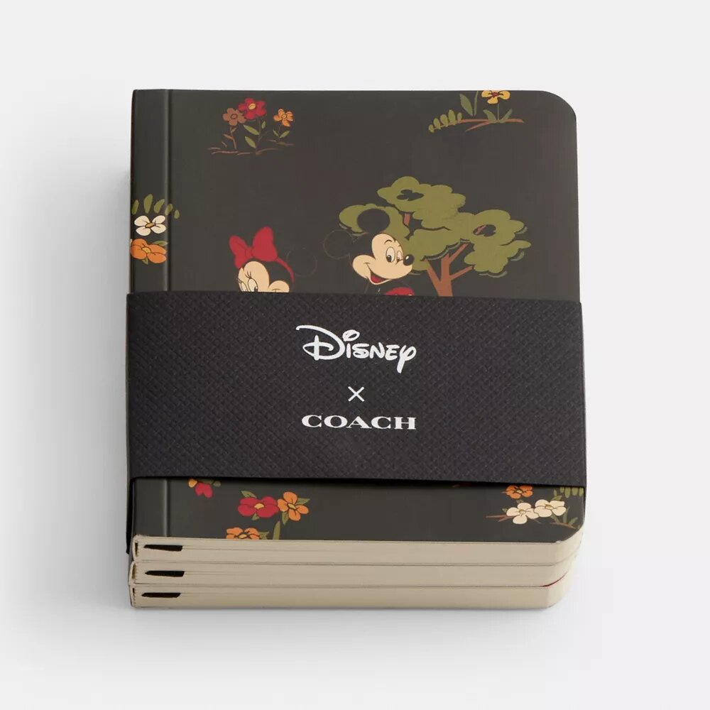 Set de agende mini Disney X Coach cu Mickey Mouse și prietenii săi