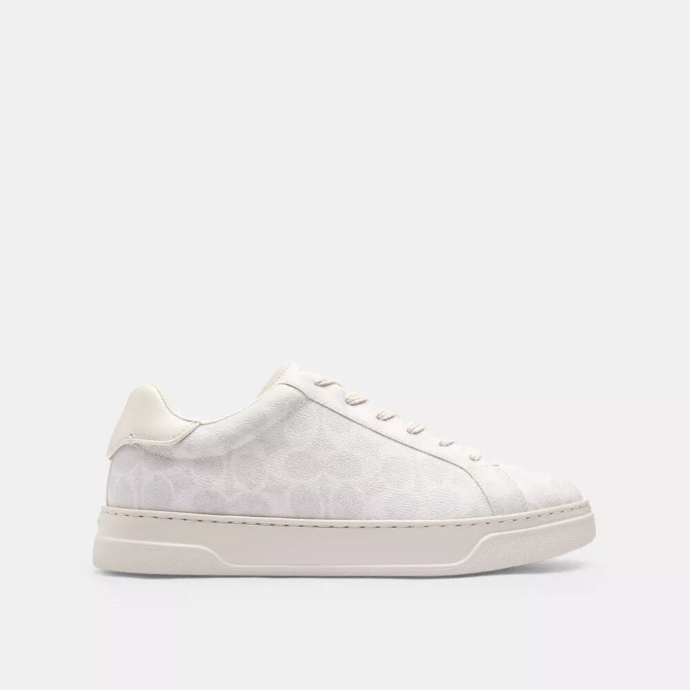 Sneakerși înalți din Signature Canvas