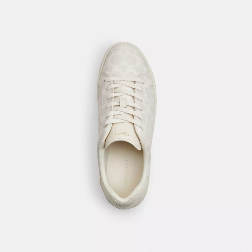 Sneakerși înalți din Signature Canvas