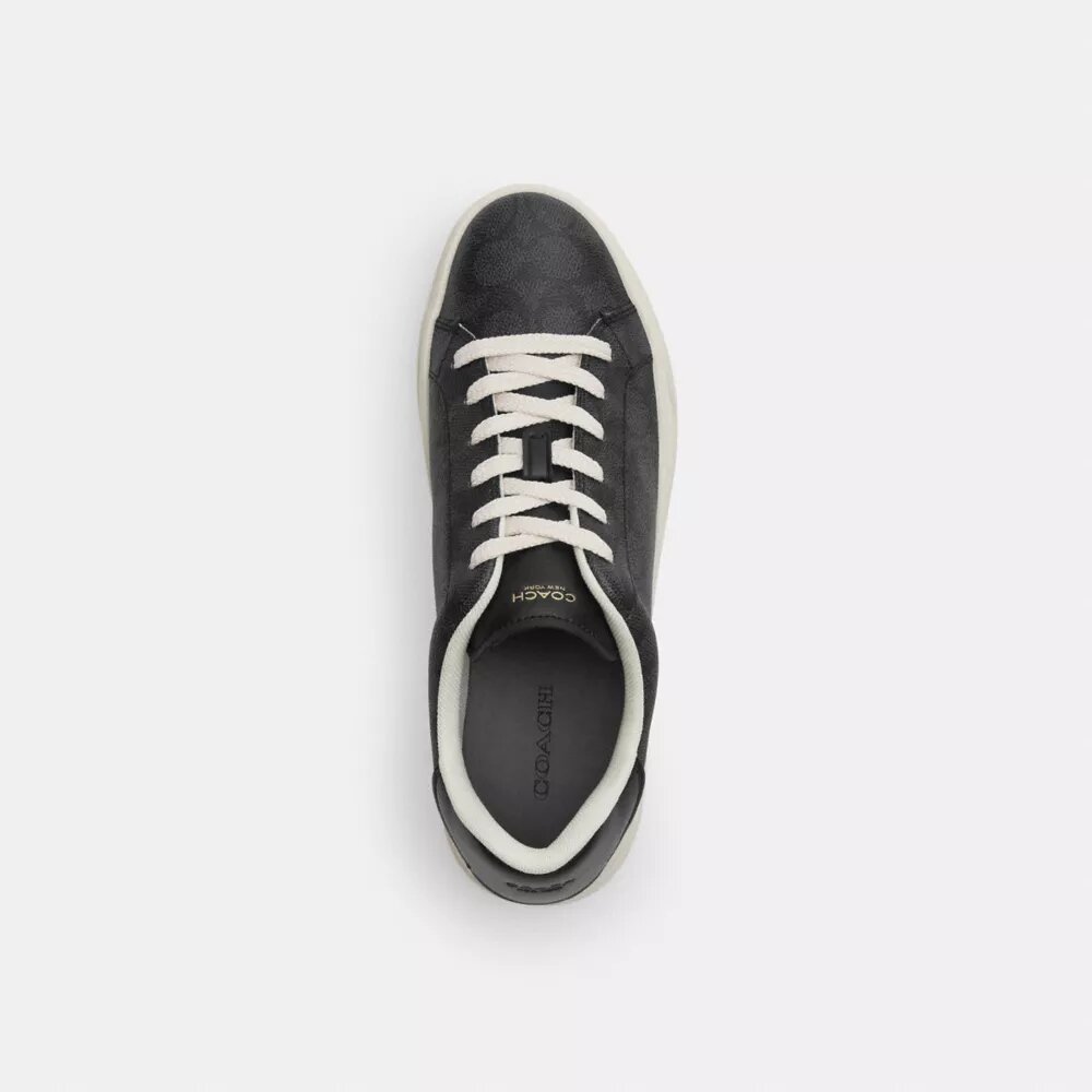 Sneakerși înalți din Signature Canvas