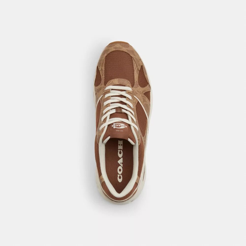 Sneakerși sport din Signature Canvas