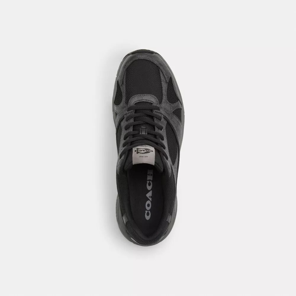 Sneakerși sport din Signature Canvas